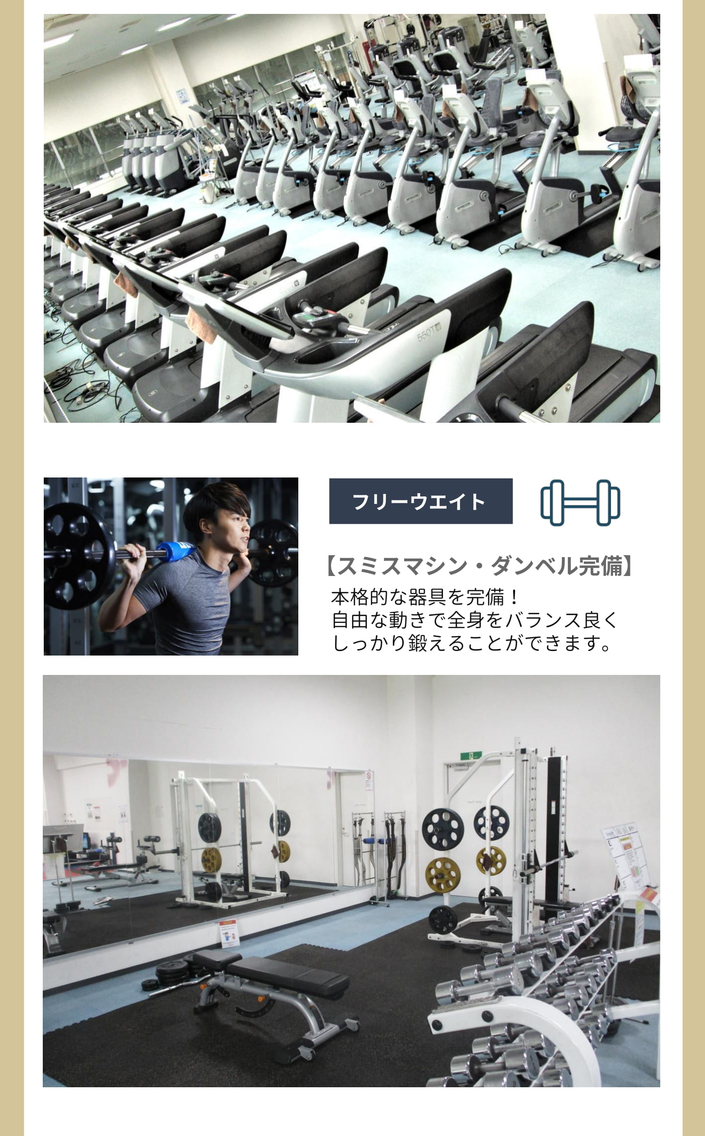 充実のマシンラインアップ　フリーウエイト/グリーンフィールド