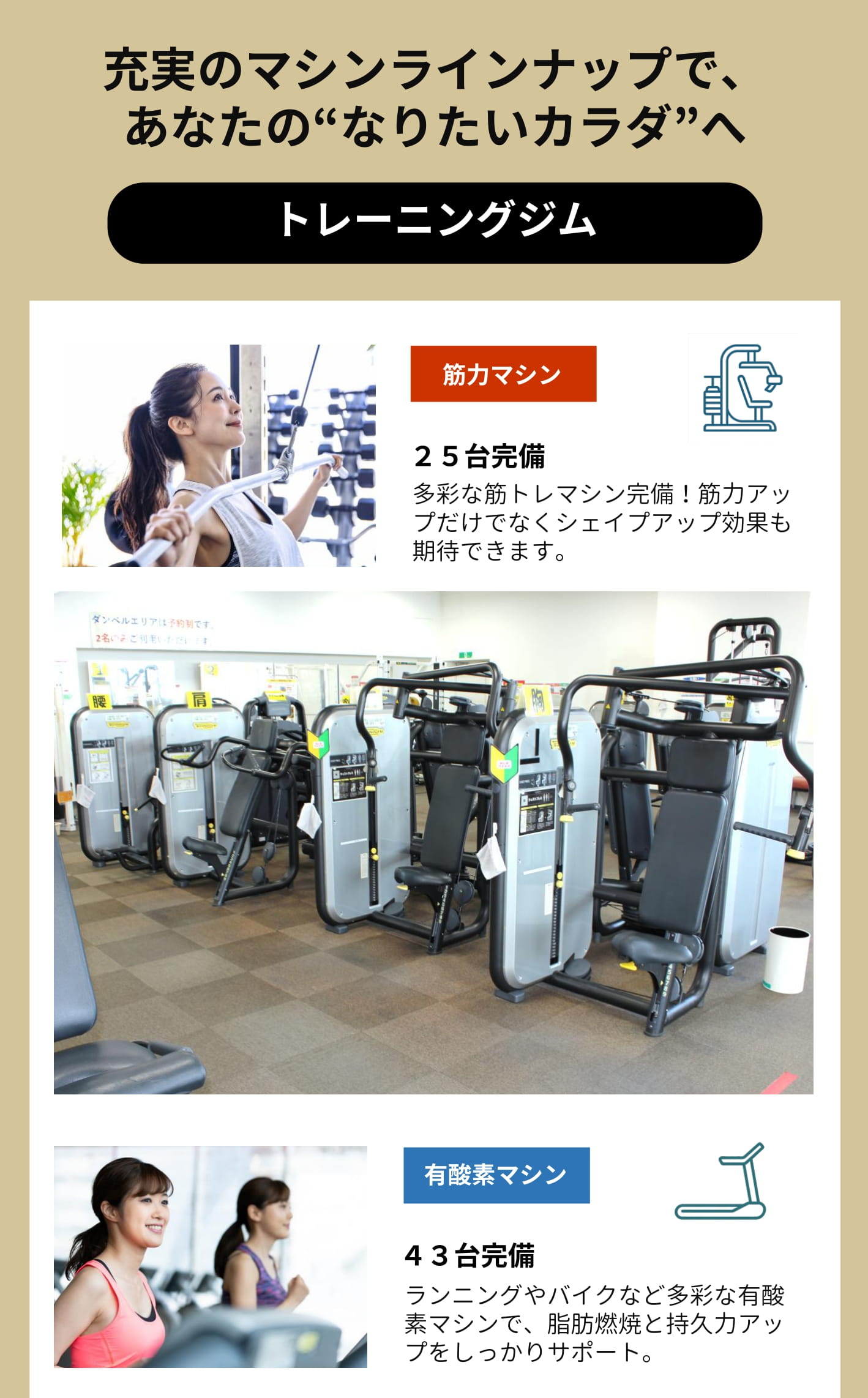 充実のマシンラインアップ　筋肉マイン/有酸素マシン