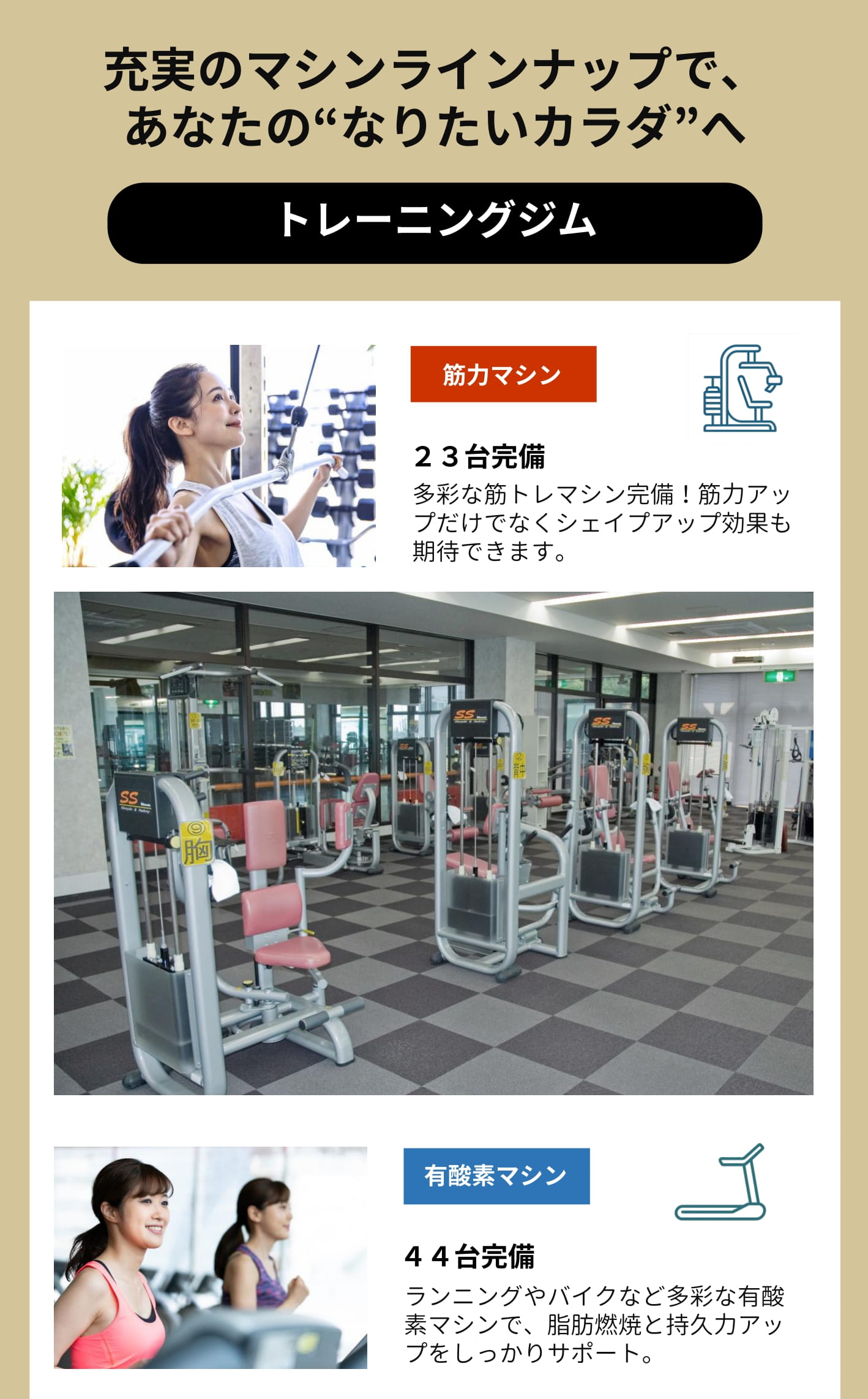 充実のマシンラインアップ　筋肉マイン/有酸素マシン